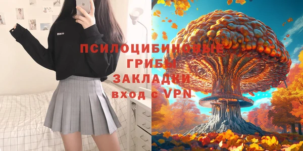 стаф Лихославль