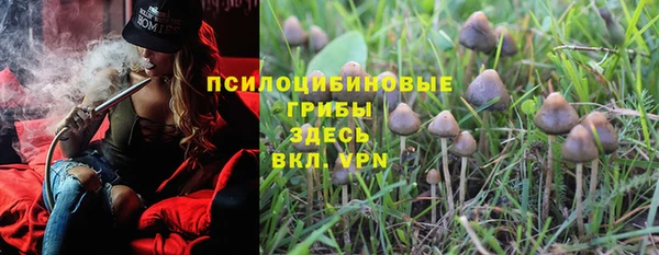 2c-b Липки