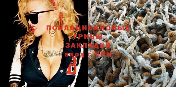 2c-b Липки