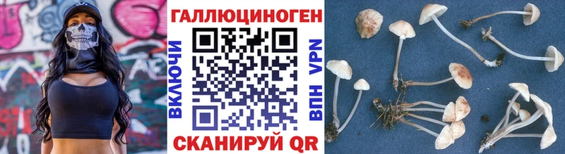 Галлюциногенные грибы MAGIC MUSHROOMS  Купить закладки  Пыть-Ях 